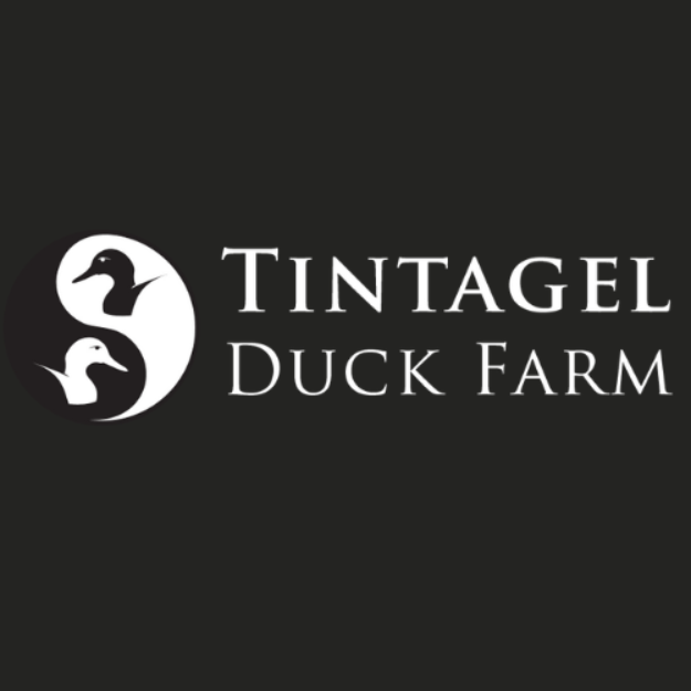 Tintagel Duck Farm